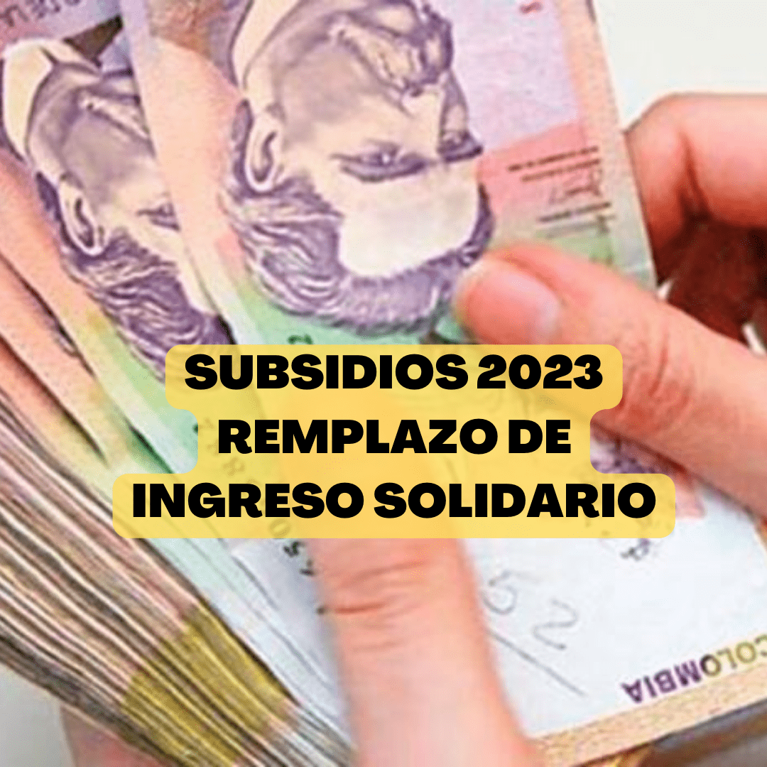 remplazo de ingreso solidario 2023