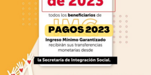 Ingreso Minimo Garantizado o Renta básica Bogotá 2023 pagos