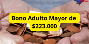 Bono Adultos Mayores de $223.000.