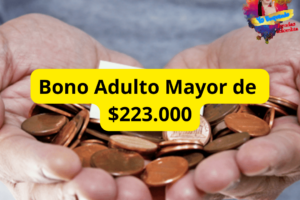 Bono Adultos Mayores de $223.000.