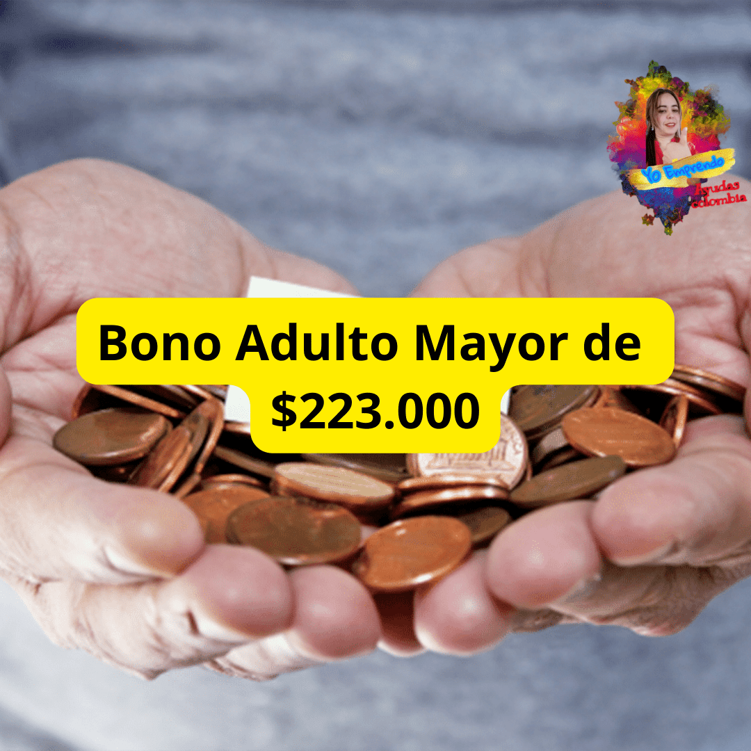 En este momento estás viendo Bono Adultos Mayores de $223.000.
