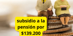 Subsidio Aporte a la Pensión por $139.200