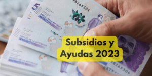 Subsidios y Ayudas Colombia 2023