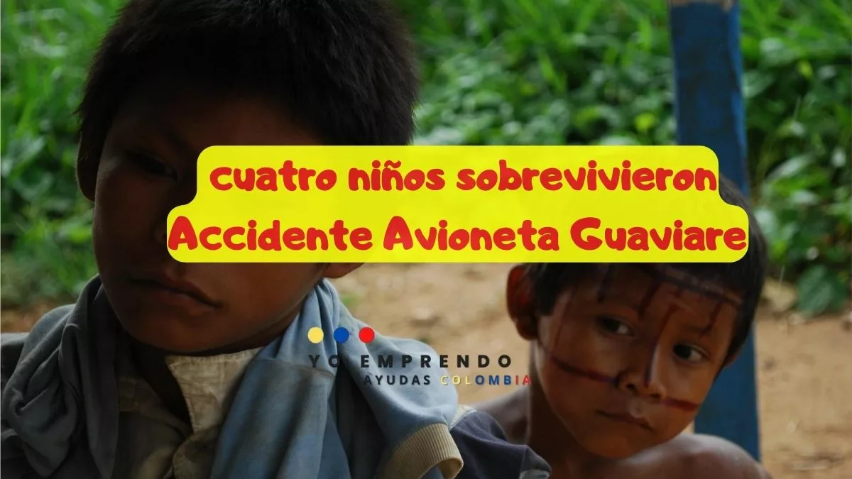 En este momento estás viendo Falsa Alarma 😰 Hallan con vida a los cuatro niños desaparecidos en accidente aéreo en Guaviare