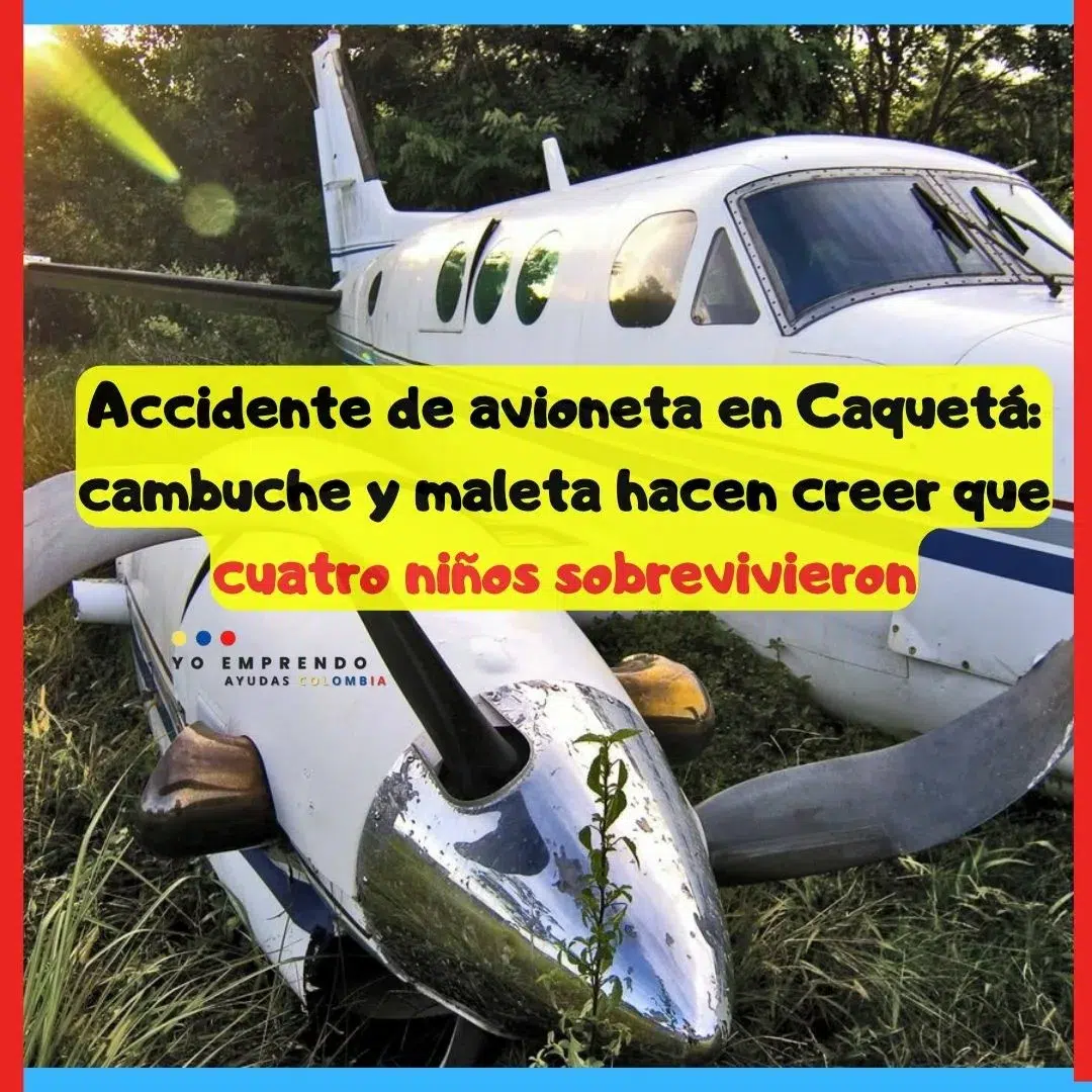 En este momento estás viendo Avioneta Guaviare Cuatro niños desaparecidos