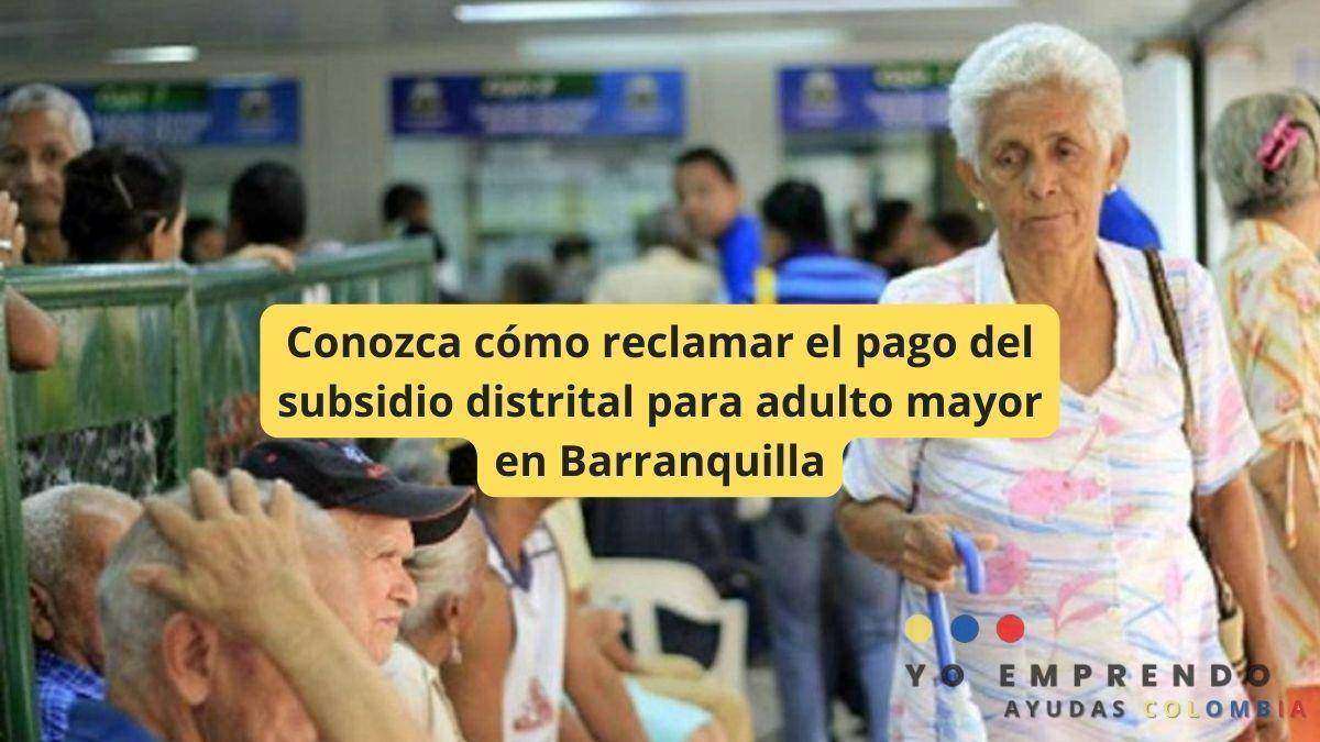 Conozca cómo reclamar el pago del subsidio distrital para adulto mayor en Barranquilla