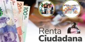 Renta Ciudadana 2024: Cómo Consultar tu Estado con Cédula y Fecha de Nacimiento