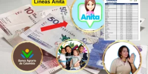 ¿Qué es Anita del Banco Agrario ver Lineas?