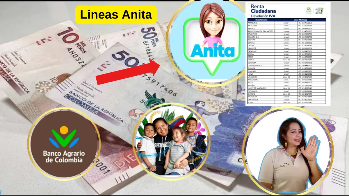 En este momento estás viendo ¿Qué es Anita del Banco Agrario ver Lineas?