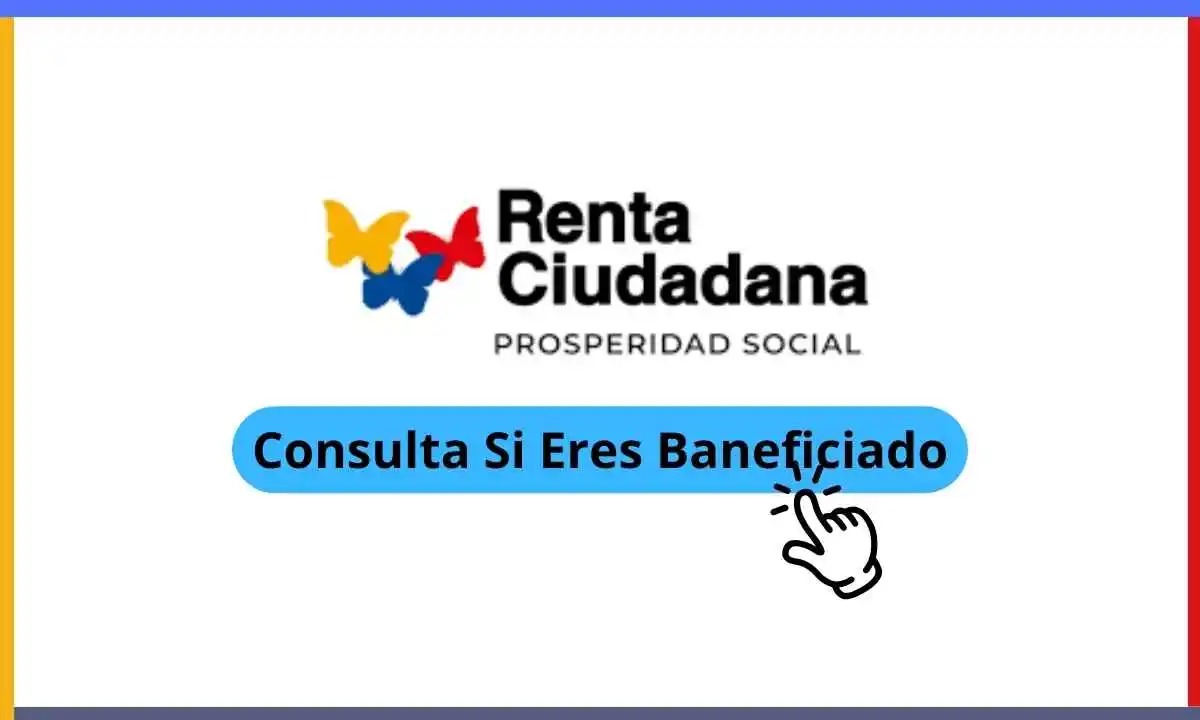 Renta ciudadana