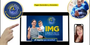 Pagos Noviembre y Diciembre Ingreso Mínimo Garantizado: Todo lo que Necesitas Saber