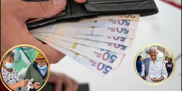 renta solidaria consultar 2025